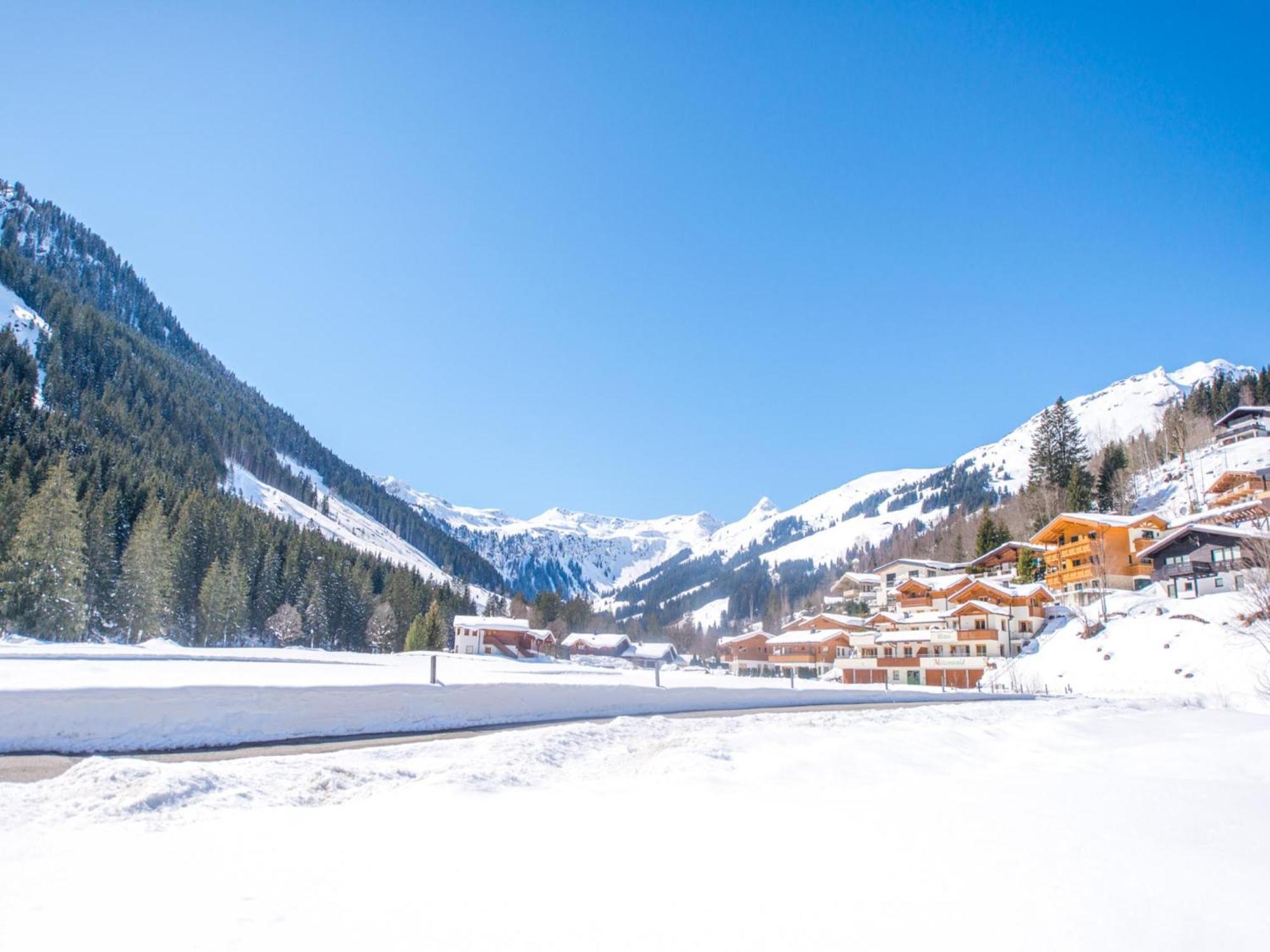 Chalet Sanna Hinterlengau 잘바흐 힌터글렘 외부 사진